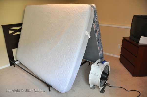 Bed Bug Inspection | 207-650-8654 | Maine Bed Bugs and Pest Control