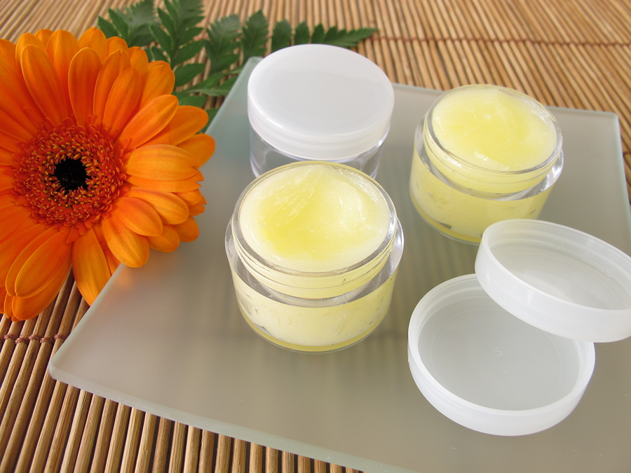 DIY Bug Bite Balm | Maine Bed Bugs and Pest Control