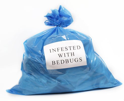 Maine Bed Bug Legislation