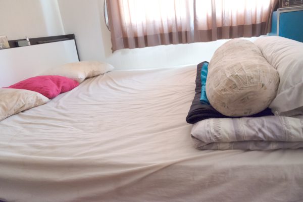 Benefits of Heat Treatments for Bed Bugs