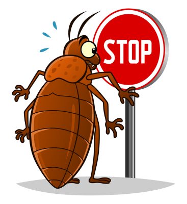 How We Use Heat to Kill Bed Bugs