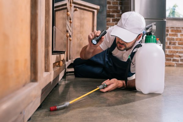 Are Eco-Friendly Pest Control Products Used in Portland, ME? Are they Really Effective?