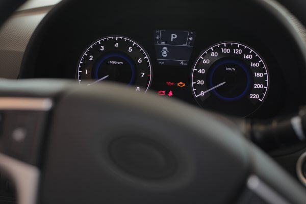 Should I be worried about having bedbugs in my car in Portland ME?