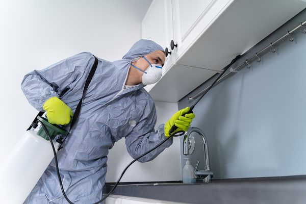 Spring Is the Perfect Time to Consider Scheduled Pest Control Services