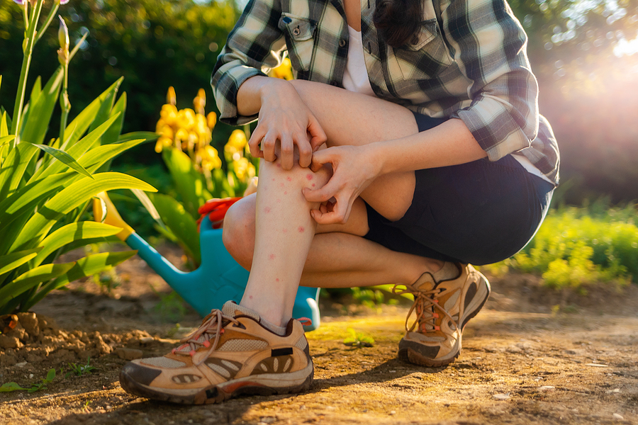 Pests Remedies for Ticks, Blackflies & Mosquitoes