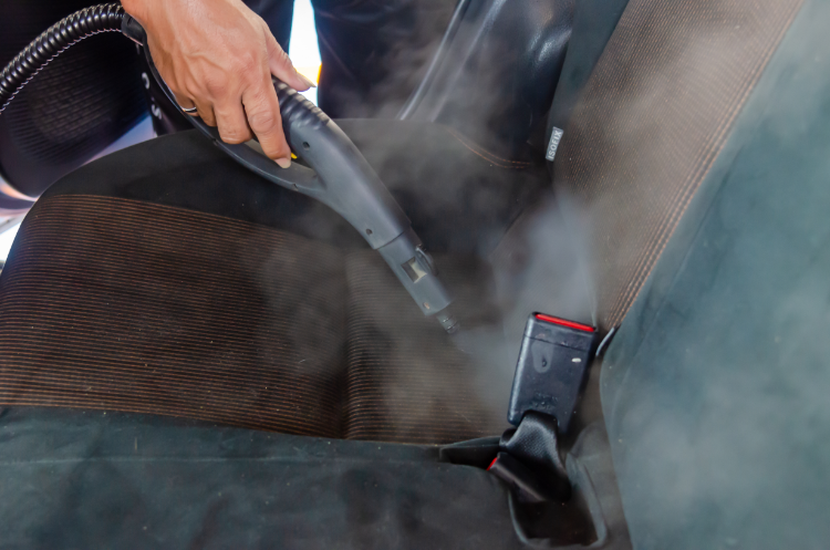 Limitations of Steam Cleaning for Bed Bug Treatment on Your Vehicle